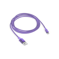 2DK18 ttec AlumiCable Type-C Şarj Kablosu Mor
