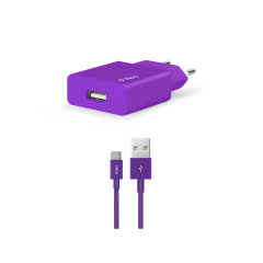 2SCS20C ttec SmartCharger 2.1A Seyahat Şarj Aleti + Type-C Kablo Mor