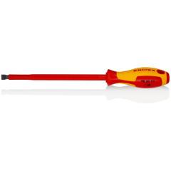 DÜZ UÇLU TORNAVİDA 98 20 10