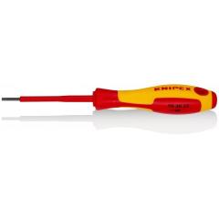 DÜZ UÇLU TORNAVİDA 98 20 25