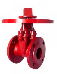 T-1436 (EN JS 1020) Yükselmeyen Milli Sürgülü Vana (NRS)